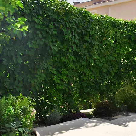 Design Coastal Garden Lägenhet *