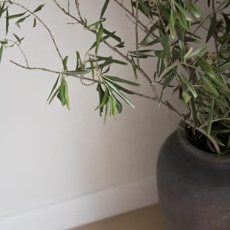 Design Coastal Garden * 스플리트